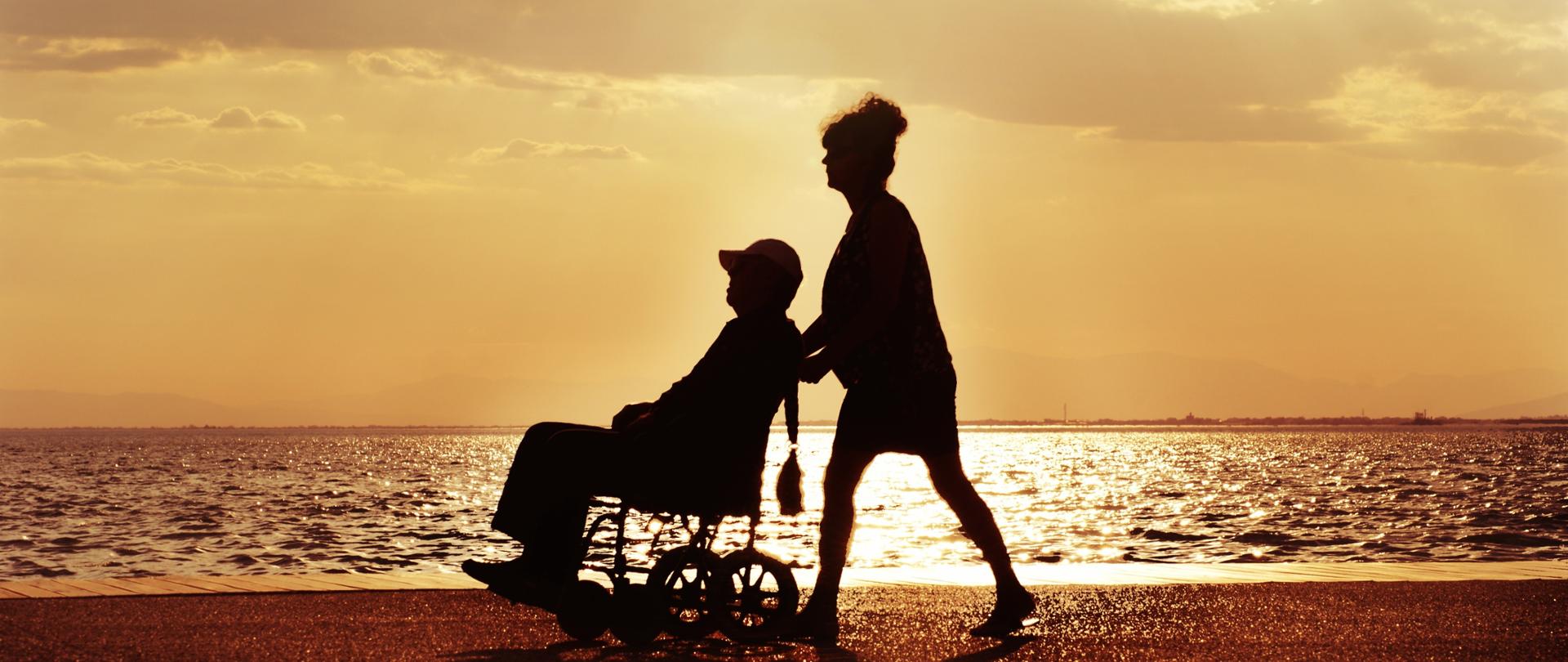 Wsparcie dla niepelnosprawnych