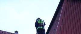 Na zdjęciu widocznych czterech strażaków zabezpieczających drabinę pożarniczą w ubraniach specjalnych jeden koloru piaskowego i trzej granatowego w białych hełmach oraz jeden strażak na drabinie podający prąd wody na dach budynku. Budynek KP PSP elewacja biała dach blacha trapezowa koloru brązowego.