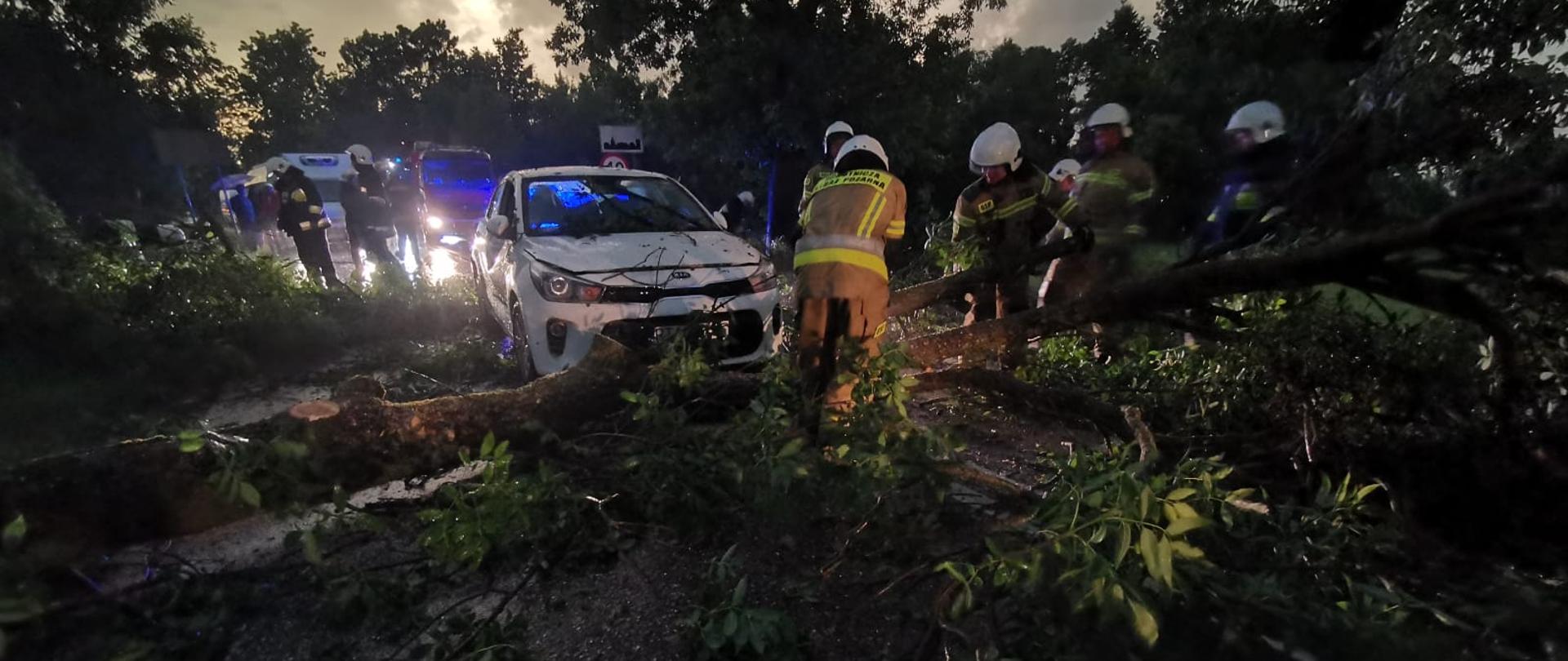 Jezdnia zablokowana przez powalone drzewa i gałęzie. Strażacy w ubraniach bojowych usuwają wiatrołomy. Samochód w kolorze białym zablokowany przez powalone drzewo. W tle wóz strażacki z zapalonymi światłami drogowymi oraz pozostali strażacy pracujący na jezdni. Niebo pokryte ciemnymi chmurami. 