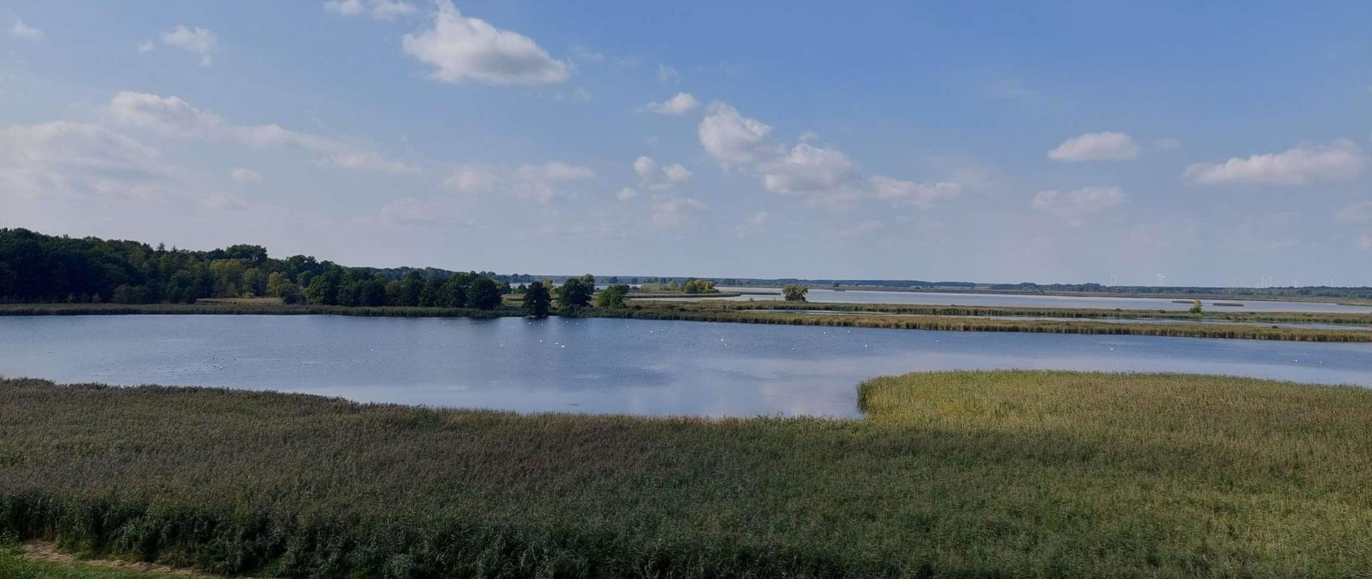 Wyjazdowe posiedzenie Regionalnej Rady Ochrony Przyrody w rezerwacie przyrody „Stawy Przemkowskie”