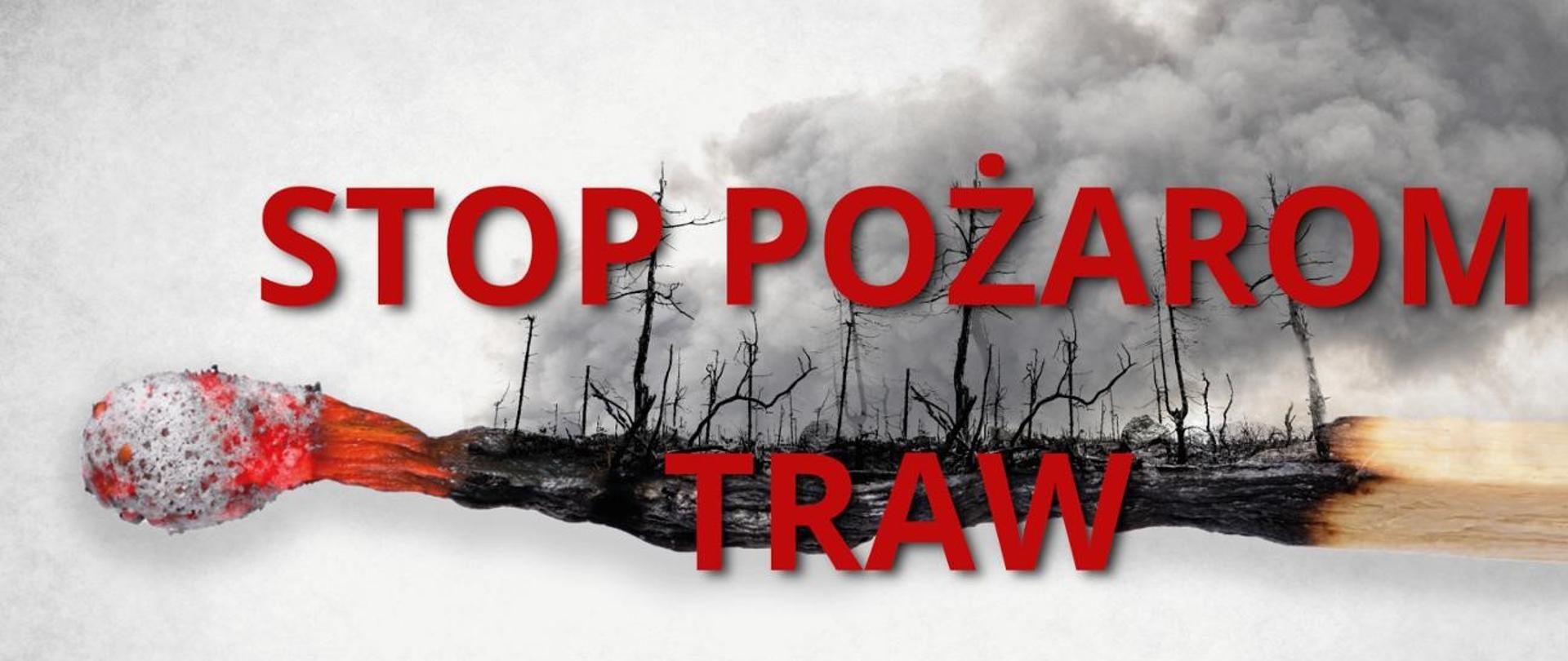 Zdjęcie przedstawia żarzącą się zapałkę. Na spalonej jej części widnieje spalony las nad którym unoszą się kłęby dymu.