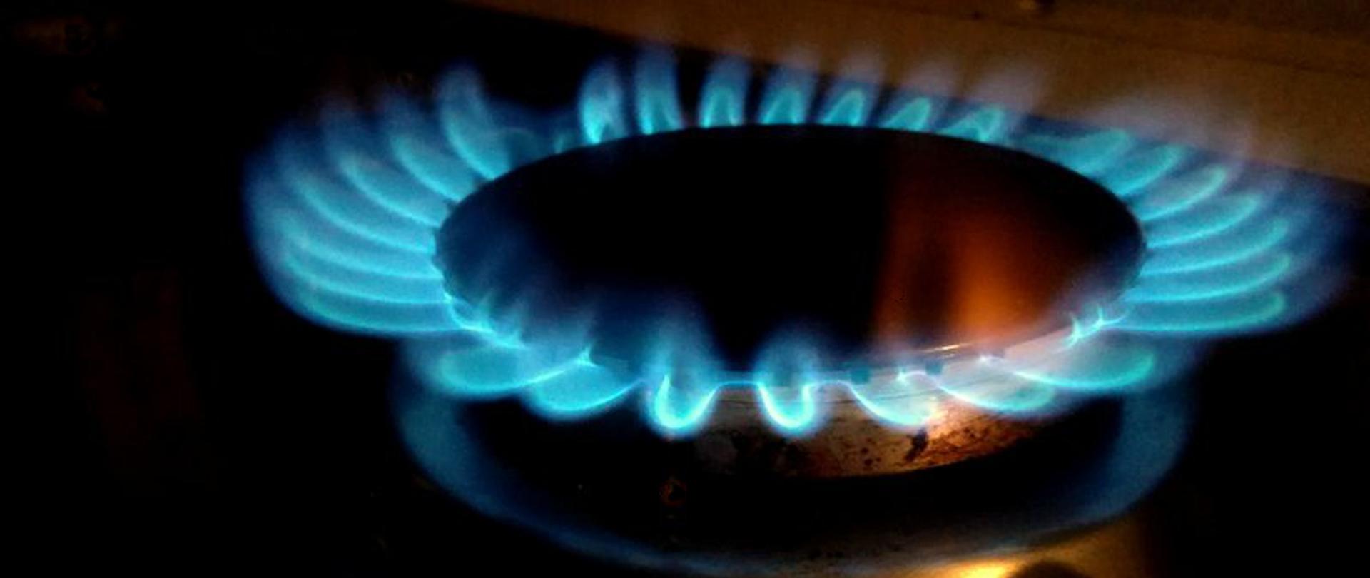 Na zdjęciu widoczny jest płomień z palnika kuchenki gazowej