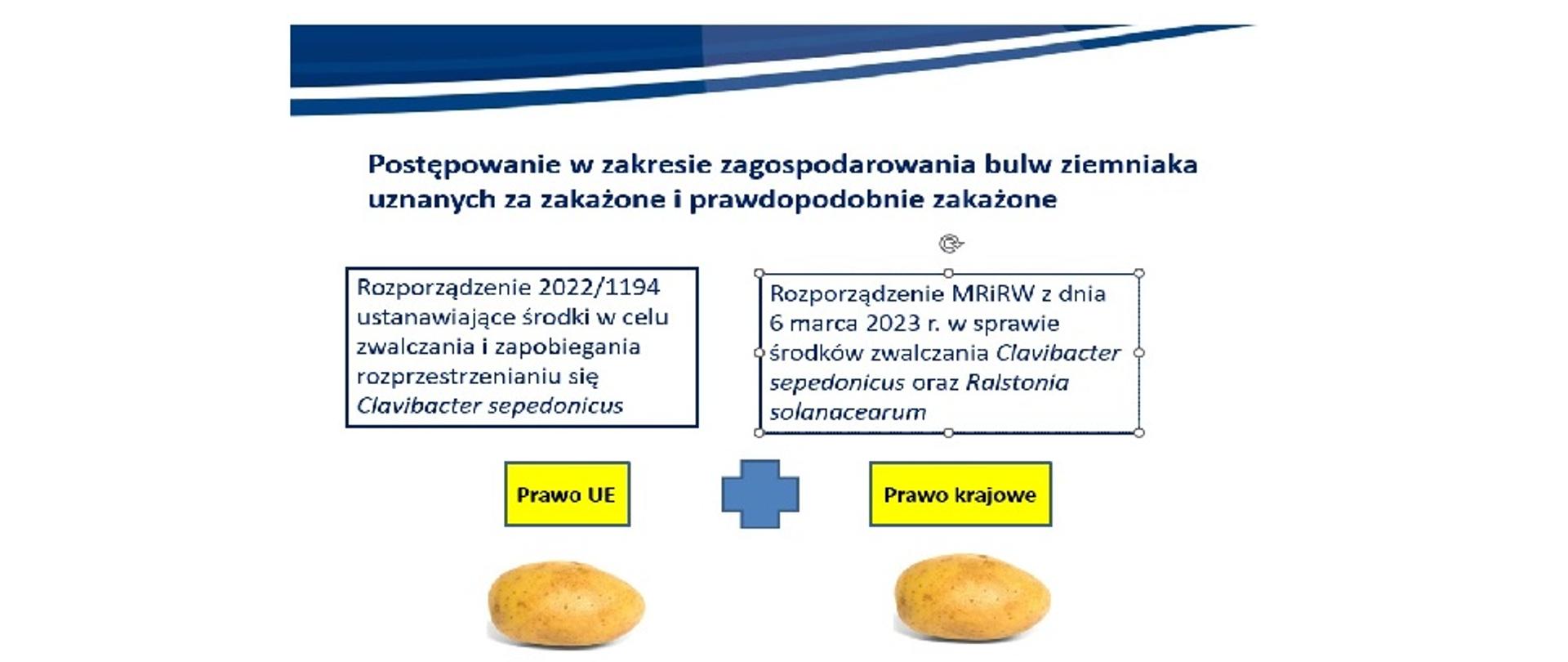 Slajd ze szkolenia on-line przedstawiający numery rozporządzeń, w których zawarte są przepisy dotyczące zagospodarowania bulw ziemniaka
