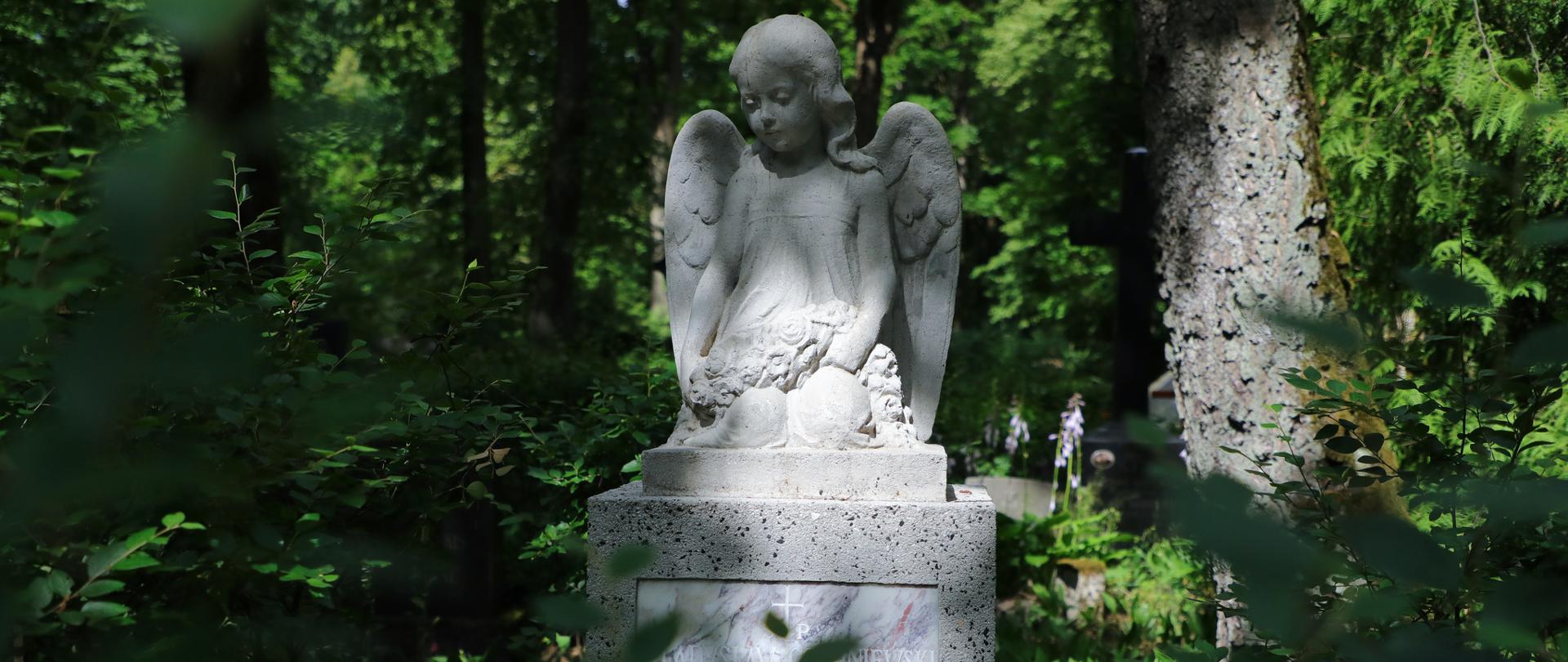 Wizyta ministra kultury i dziedzictwa narodowego na cmentarzu św. Michała w Rydze, fot. Danuta Matloch