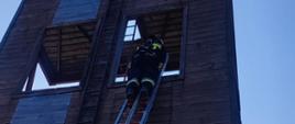 Na zdjęciu widać strażaka, który wszedł na drabinę. Drabina jest rozstawiona na ścianie wspinalni.