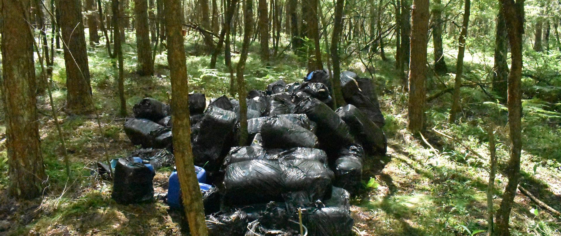 Pryzma pojemników zawiniętych w czarną folię o szerokości 2.5 m, długości 5.5 m i wysokości w najwyższym punkcie 1.5 m. leży w środku lasu na nieutwardzonym podłożu.