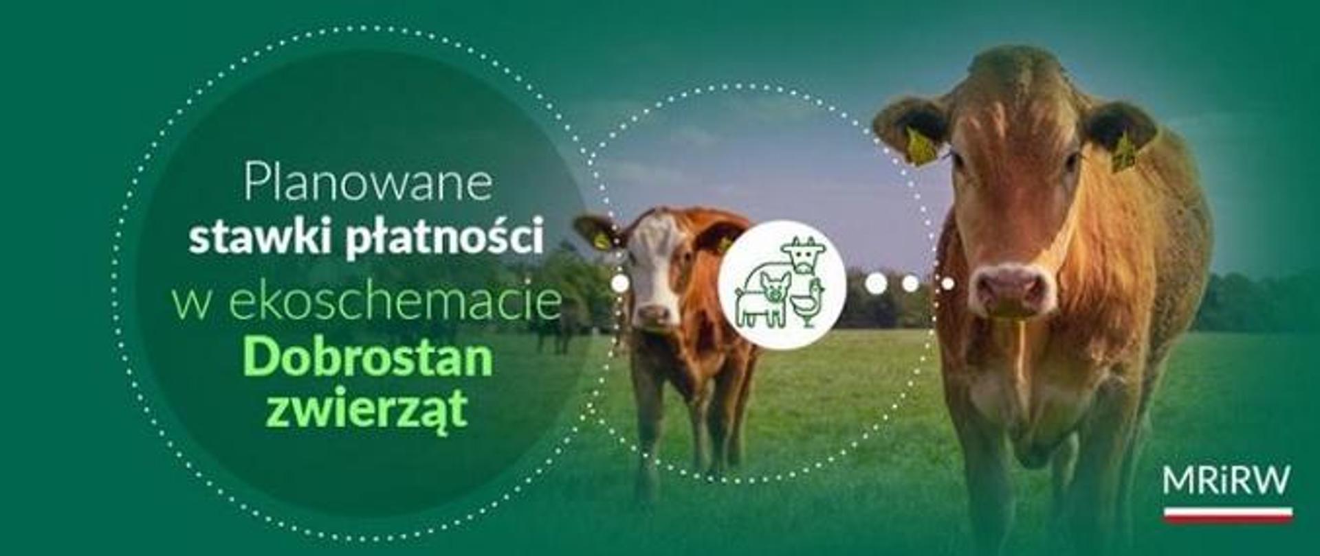 Dobrostan zwierząt - planowana stawki za 2023 rok