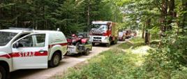 Ćwiczenia ratownicze na kompleksie leśnym Nadleśnictwa Czarna Białostocka w Puszczy Knyszyńskiej