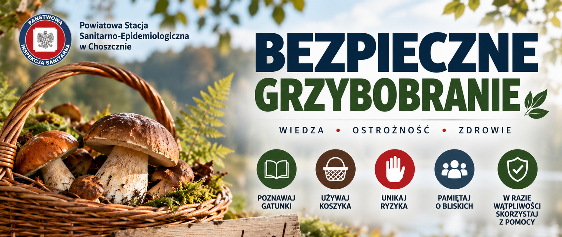 grzyb