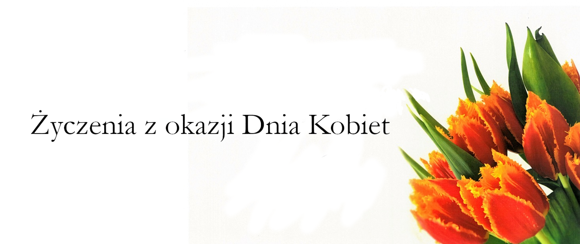 Grafika z napisem "Życzenia z okazji Dnia Kobiet"