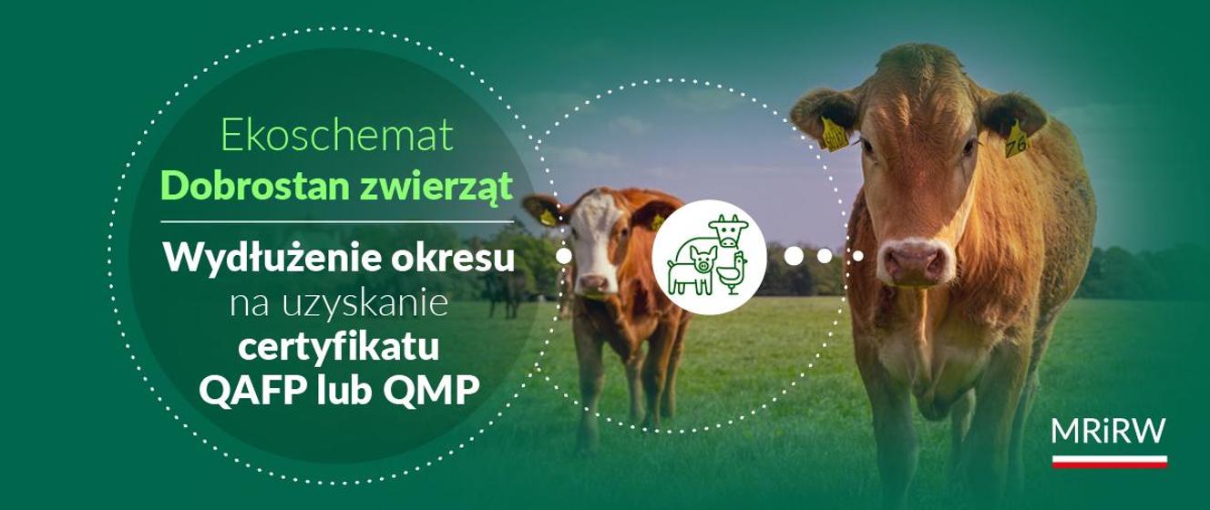 Wydłużenie okresu na uzyskanie certyfikatu QAFP lub QMP przez rolników ...