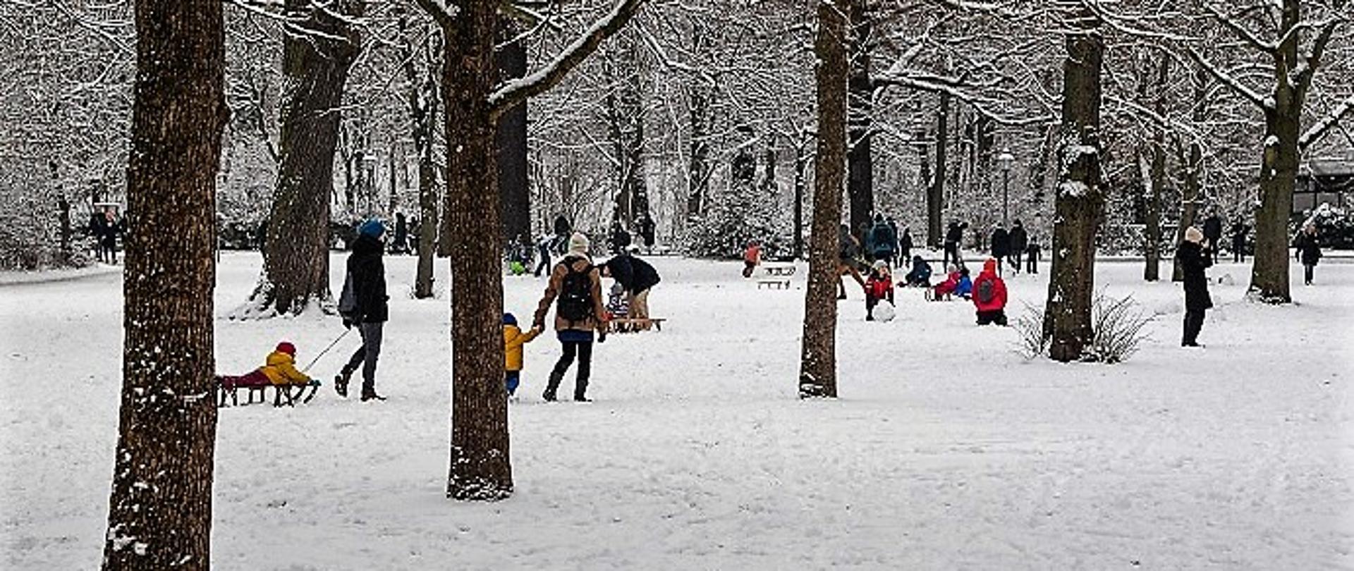 grupa ludzi dorosłych i dzieci z sankami na zaśnieżonym placu w parku