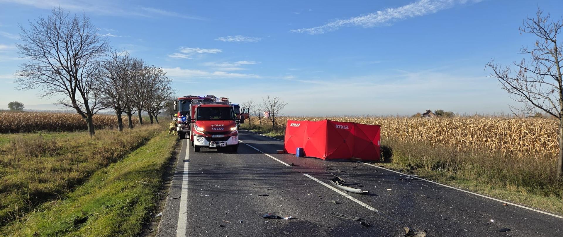 Czołowe zderzenie na drodze krajowej nr 35