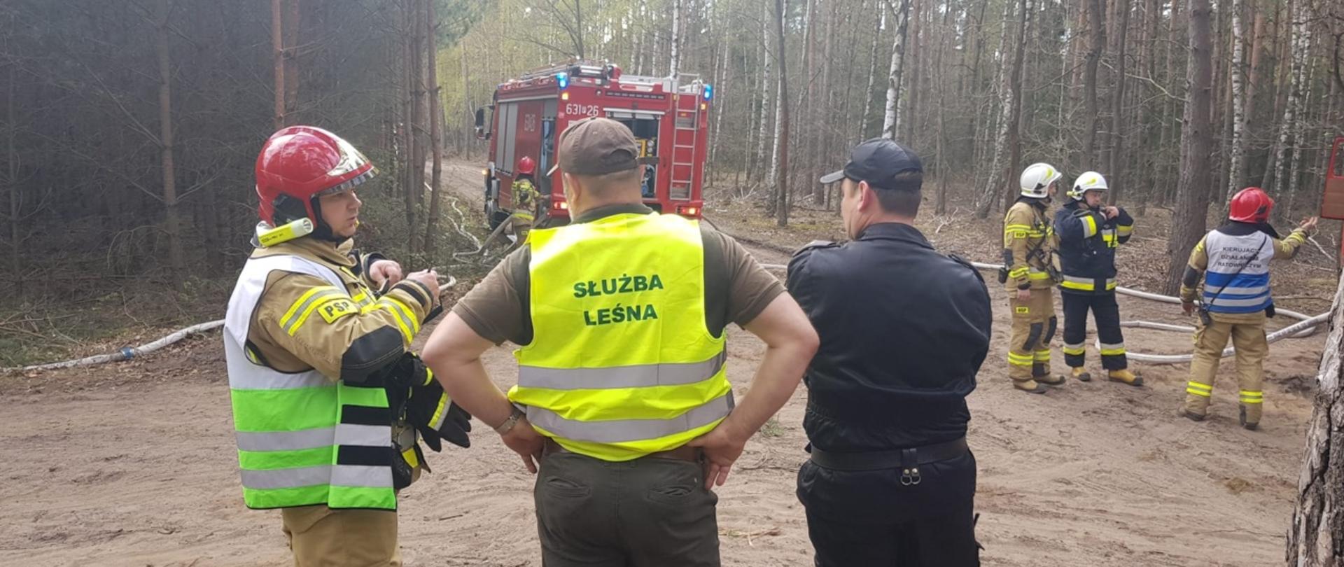 Na zdjęciu widać strażaków oraz przedstawiciela Służby Leśnej 
