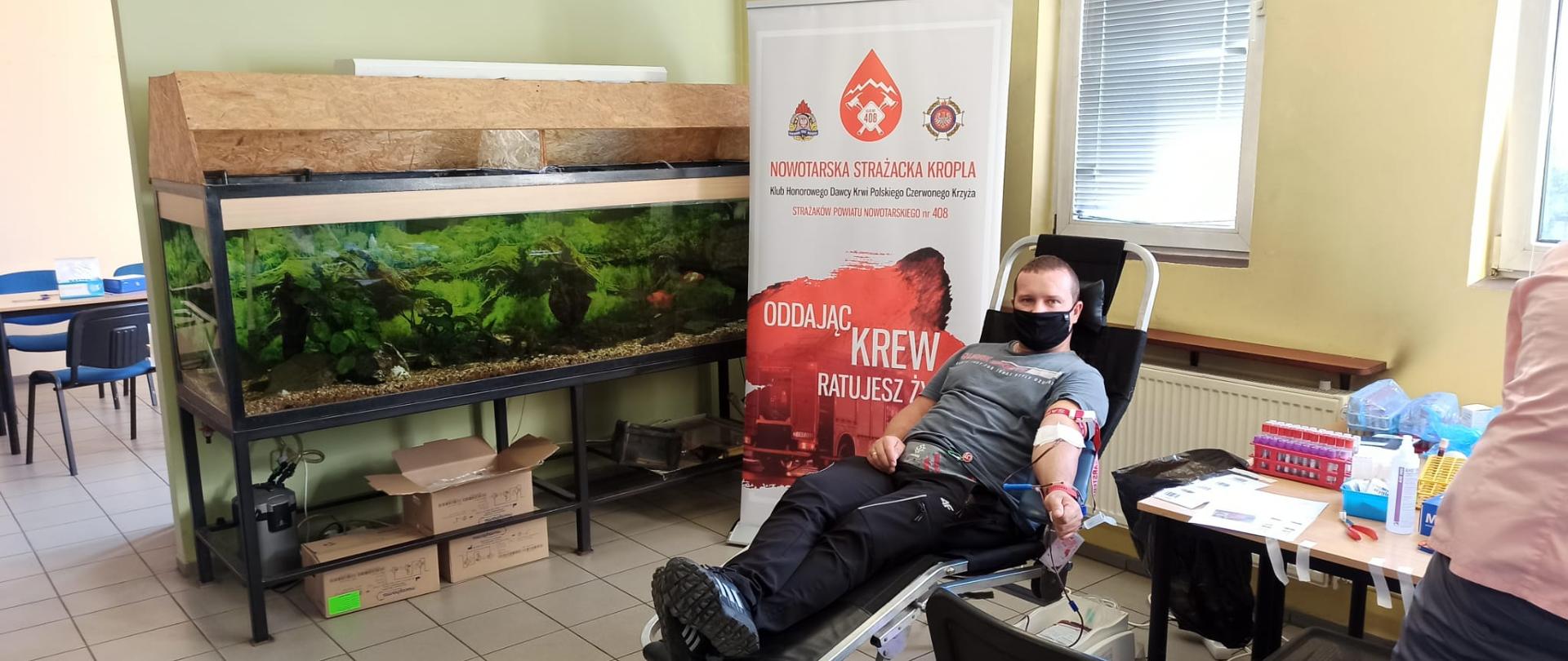 zbiórka krwi