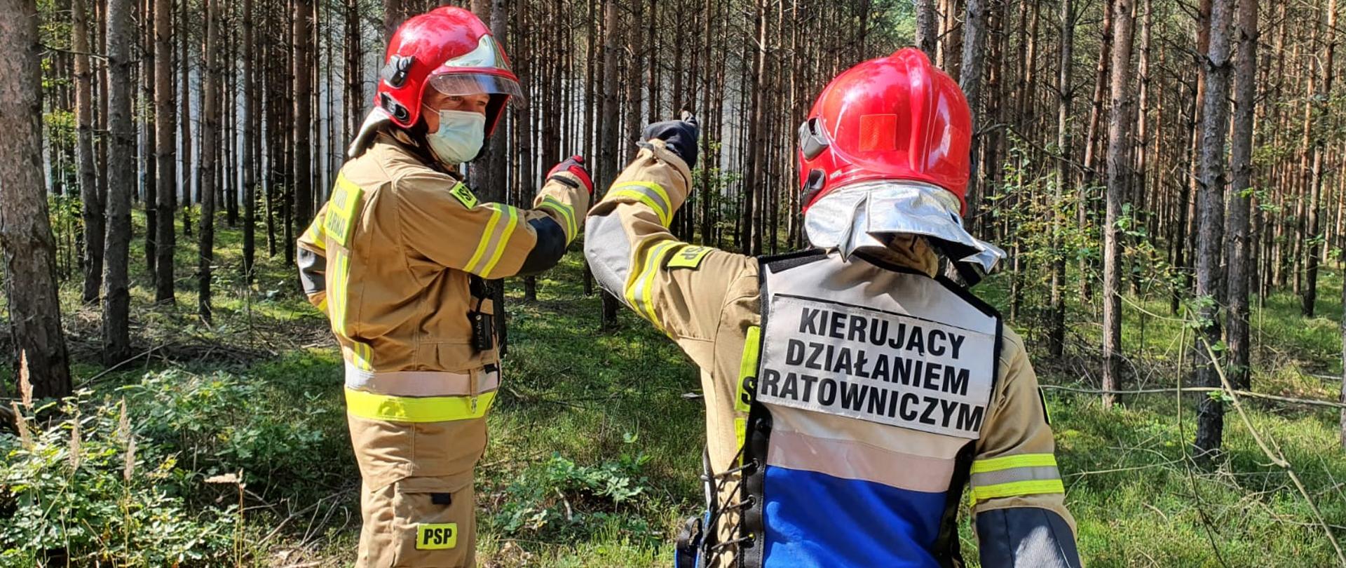 Zdjęcie przedstawia dwóch strażaków w ubraniach specjalnych z czerwonymi hełmami na głowach. Jeden z nich ma założona kamizelkę "Kierujący Działaniem Ratowniczym". Strażacy wskazują na zadymienie w środku lasu.