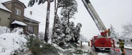 Na drodze krajowej stoją dwa samochody strażackie. Na pierwszym planie pojazd z rozłożonym podnośnikiem hydraulicznym przystawionym do drzewa. Po lewej stronie budynek mieszkalny.