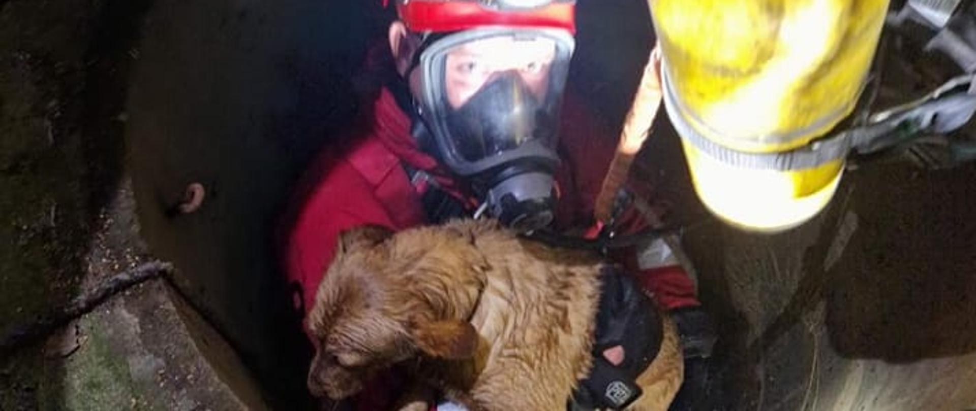Zdjęcie przedstawia ratownika w studni trzymającego psa w rękach