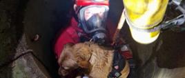 Zdjęcie przedstawia ratownika w studni trzymającego psa w rękach. 