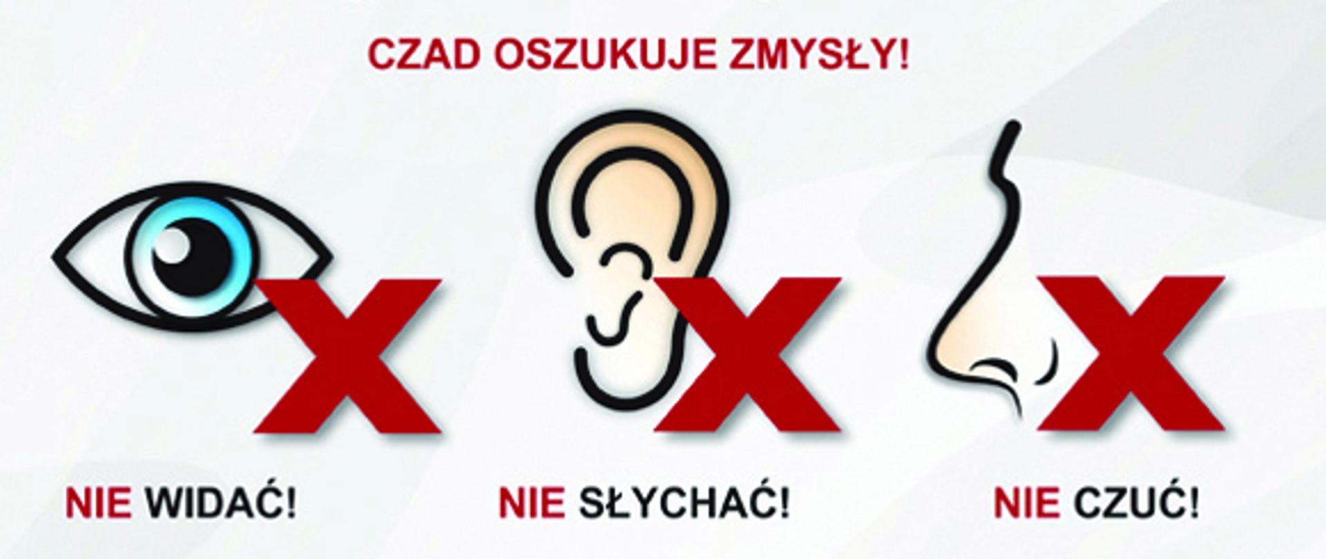 Kampania edukacyjno-informacyjna Czujka na straży Twojego bezpieczeństwa 