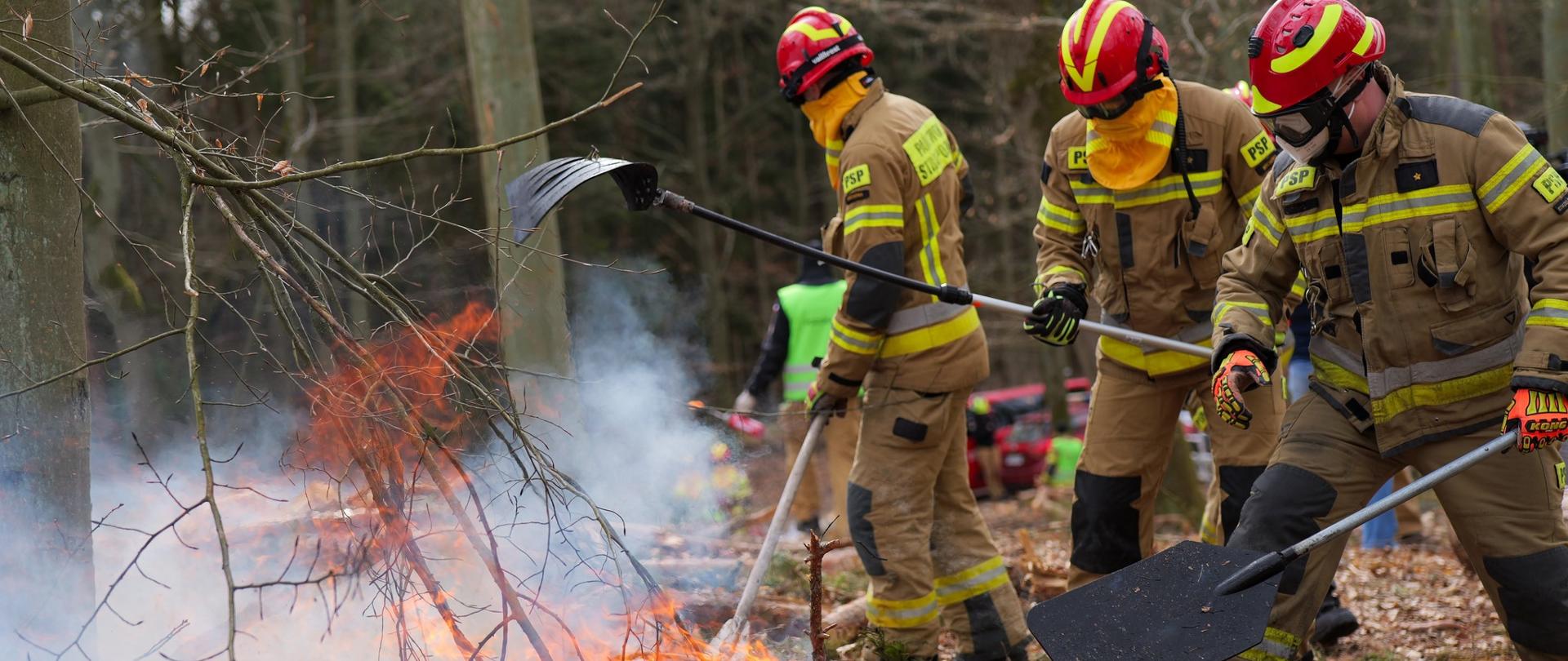 Trzech strażaków wyposażonych w gogle ochronne i żółte kominiarki, gaszących pożar poszycia leśnego przy użyciu narzędzi ręcznych. Dwóch z nich uderza w ogień tłumicami, a trzeci operuje łopatą. Akcja toczy się wśród dymu i płonących suchych gałęzi.