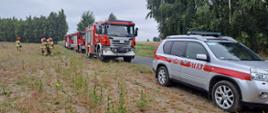 Ćwiczenia plutonu gaśniczego "RADZIEJÓW" wchodzącego w skład 3 kompanii gaśniczej "KUJAWIAK"
Zdjęcie przedstawia teren lasu w miejscowości Przysiek, strażaków PSP oraz OSP podczas odprawy przed ćwiczeniami, pojazdy pożarnicze koloru srebrnego oraz czerwonego.