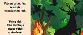 Grafika. Z lewej strony napis: Podczas pożaru lasu zwierzęta wpadają w popłoch. Wiele z nich traci orientację i wpada wprost w płomienie. 