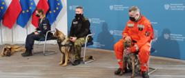 Na zdjęciu znajduję się przedstawiciele trzech służb mundurowych i każdy z nich trzyma psa. W tle ścianka MSWiA oraz flagi Polski oraz Unii Europejskiej.
