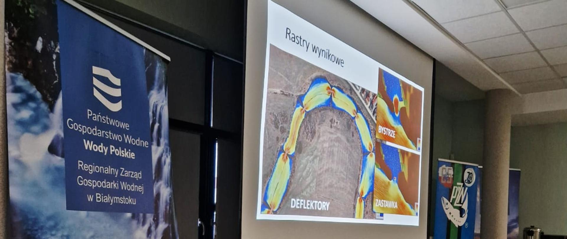 Rekultywacja starorzeczy w dolinie Narwi