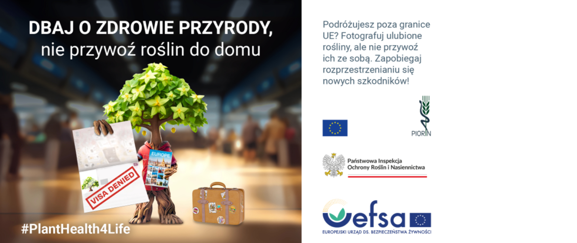 Zdjęcie przedstawiające drzewo w kształcie człowieka trzymający w rękach mapę Europy i odrzuconą wizę. Obok niego stoi brązowa teczka. U góry biały napis:"Dbaj o zdrowie przyrody, nie przywóź roślin do domu". Na dole zdjęcia #planethealth4life oraz logo EFSA.