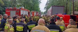 strażacy w trakcie zbiórki przed ćwiczeniami, w tle las i pojazdy
