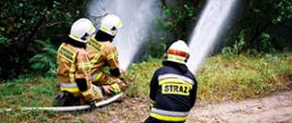 strażacy podają prądy wody