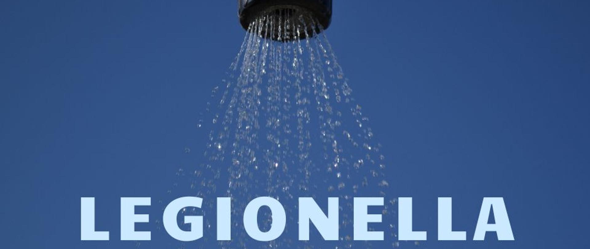 Legionella