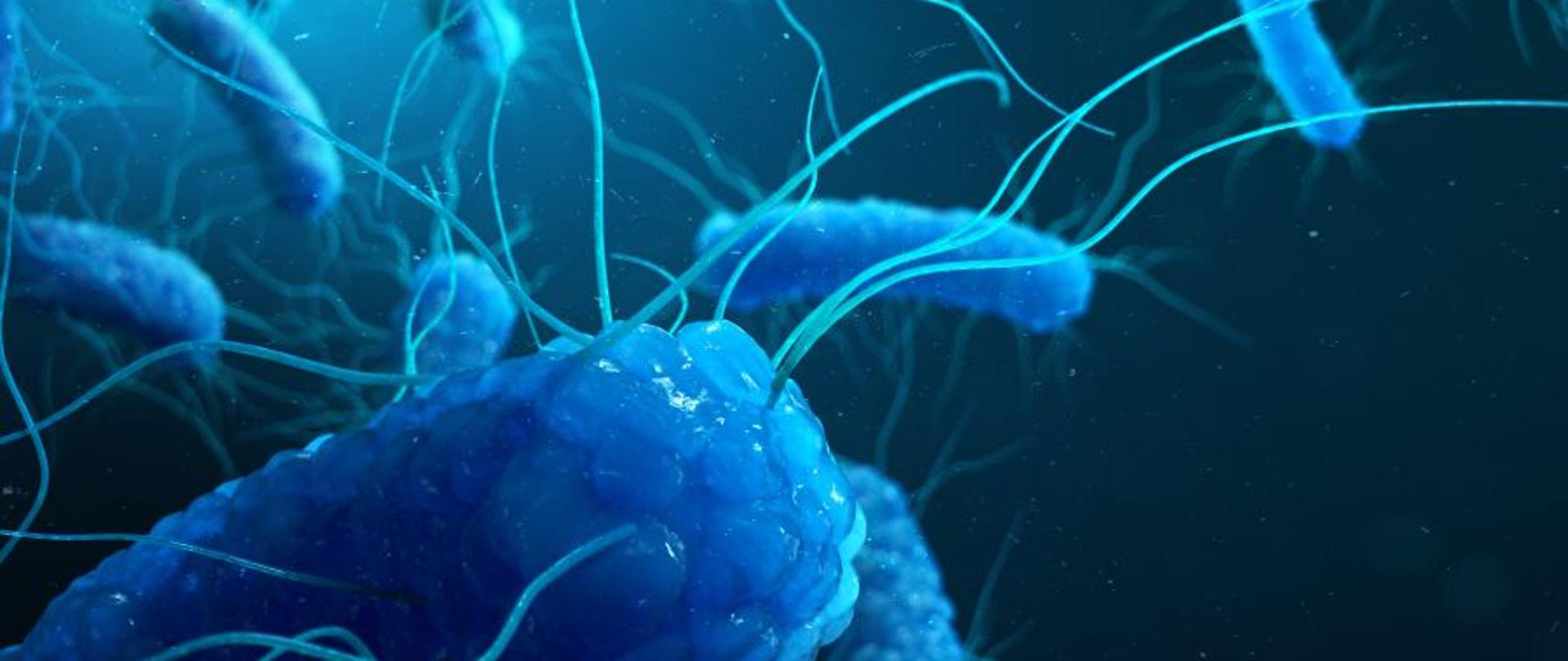 na zdjęciu widoczne niebieskie pałeczki salmonelli na granatowym tle