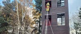 Strażacy w mundurach bojowych realizują ćwiczenie z drabiną pożarniczą. jeden stoi na wierzchu drabiny, a trzech ją zabezpiecza u dołu. Drabina przystawiona do budynku wspinalni. po lewej i prawej stronie drzewa. Na ziemi leży śnieg. 