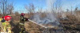 Pożary traw i nieużytków. 