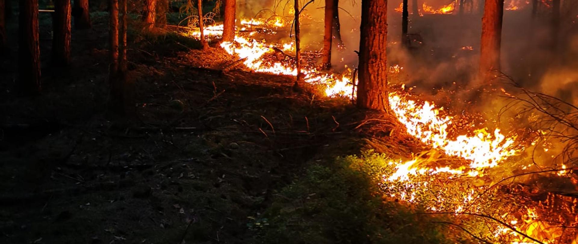 Pożar lasu