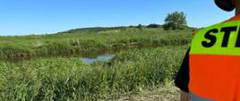 Zdjęcie na pierwszym planie przedstawia strażaka w kamizelce ratunkowej w pomarańczowym kolorze. Na drugim planie widać zarośla oraz brzeg rzeki Nida.