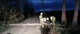 Strażacy OSP tną na kawałki drzewo tarasujące przejazd drogą. Dookoła panuje zmrok.