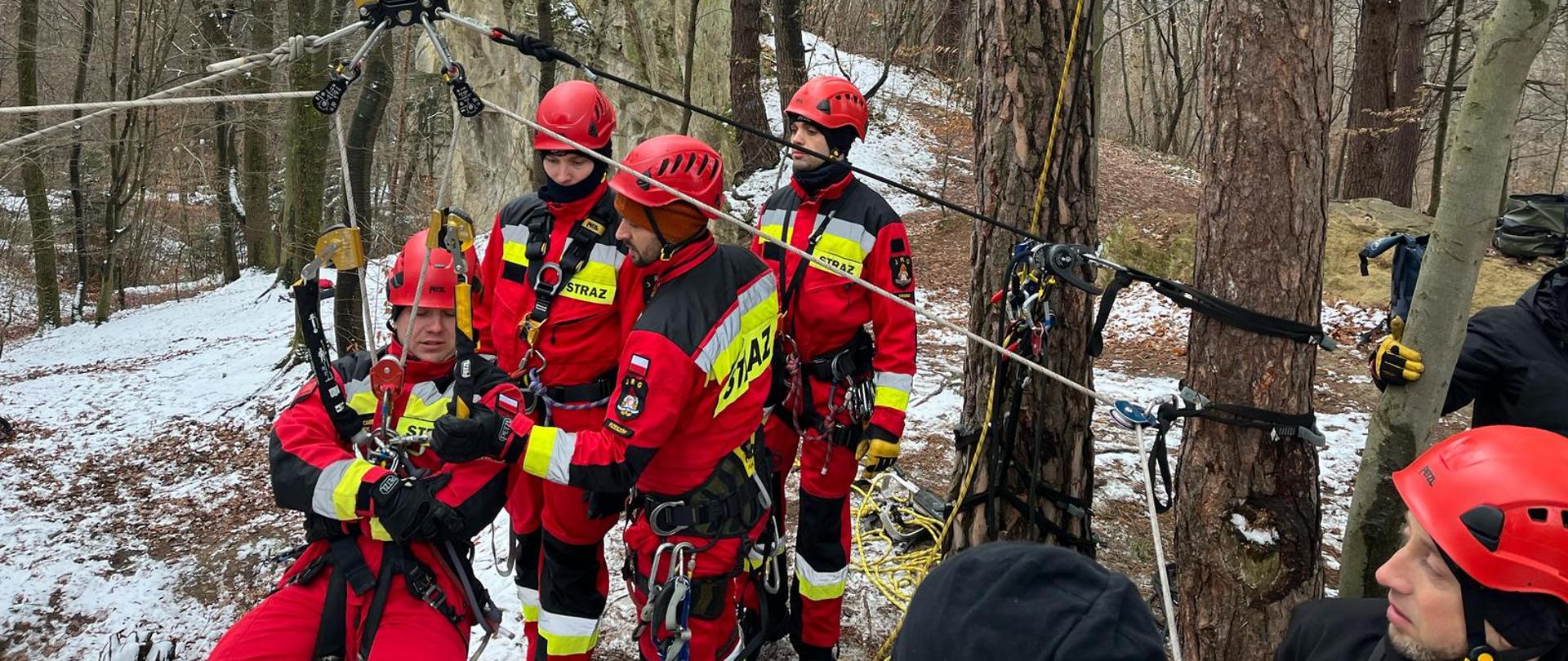 Zdjęcie przedstawia grupę ratowników wysokościowych prowadzących ćwiczenia na terenie lasu. Funkcjonariusze są ubrani w czerwono-czarne ubranie ochronne z żółtymi elementami odblaskowymi oraz czerwone hełmy. Ratownicy posiadają również uprzęże, którymi są przymocowani do tyrolki oraz lin przywiązanych do drzew. W tle widoczny jest obszar lasu oraz pojedyncza formacja skalna. 