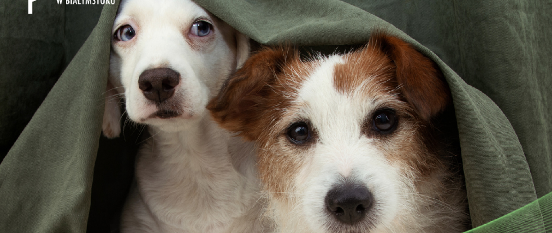 Sylwester bez fajerwerków też może być fajny