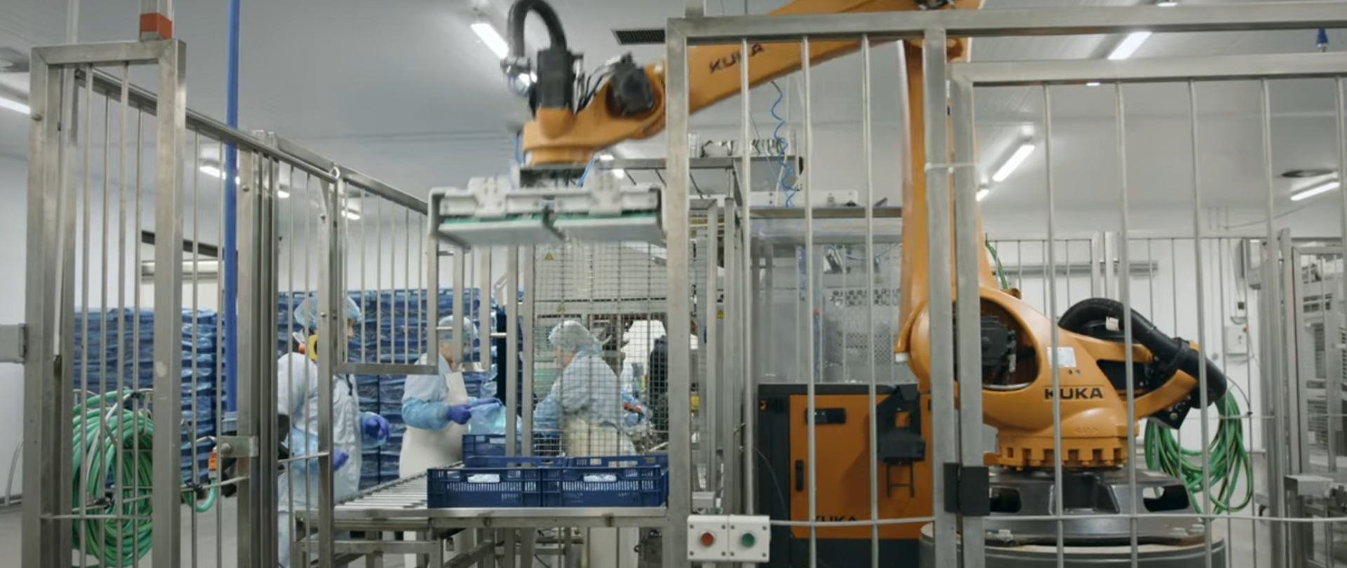 Zdjęcie przedstawiające wnętrze zakładu firmy Pakfish z linią do pakowania ryb i pracującym tam robotem.