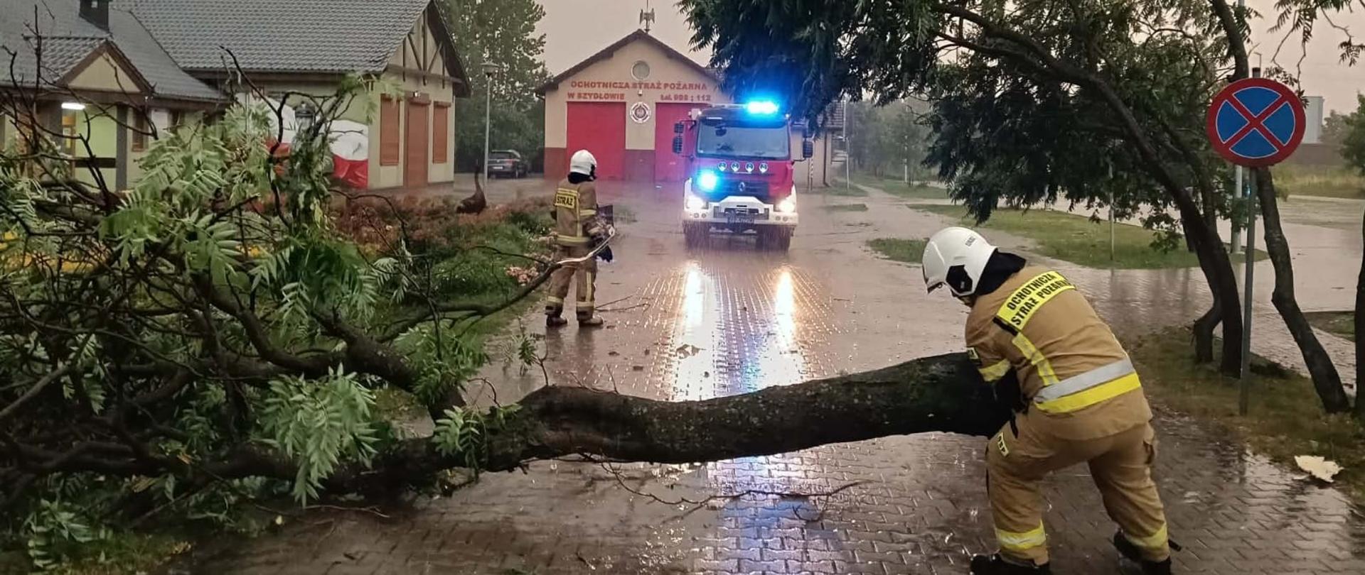 Na zdjęciu widać strażaków w trakcie działań związanych z wiatrołomami. 