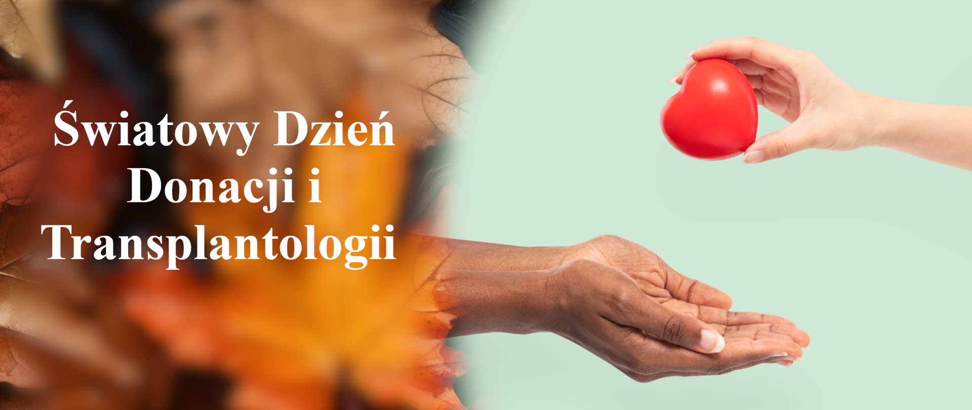 baner - światowy dzień donacji i transplantologii
