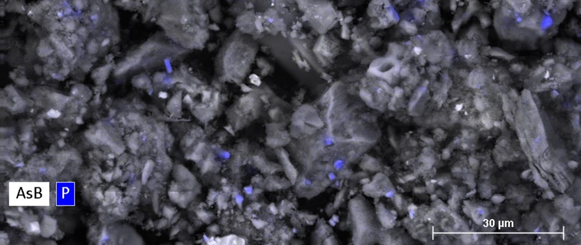 Elektronowy obraz mikroskopowy przedstawiający nieregularne, porowate ziarna materiału o szarej barwie, tworzące zagęszczoną, chropowatą strukturę. Pomiędzy ziarnami widoczne są drobne, nieregularnie rozmieszczone niebieskie punkty i krótkie prążki. W prawym dolnym rogu znajduje się skala oznaczona ‘30 µm’. W lewym dolnym rogu widoczne są napisy ‘AsB’ i litera ‘P’ w niebieskim kwadracie.