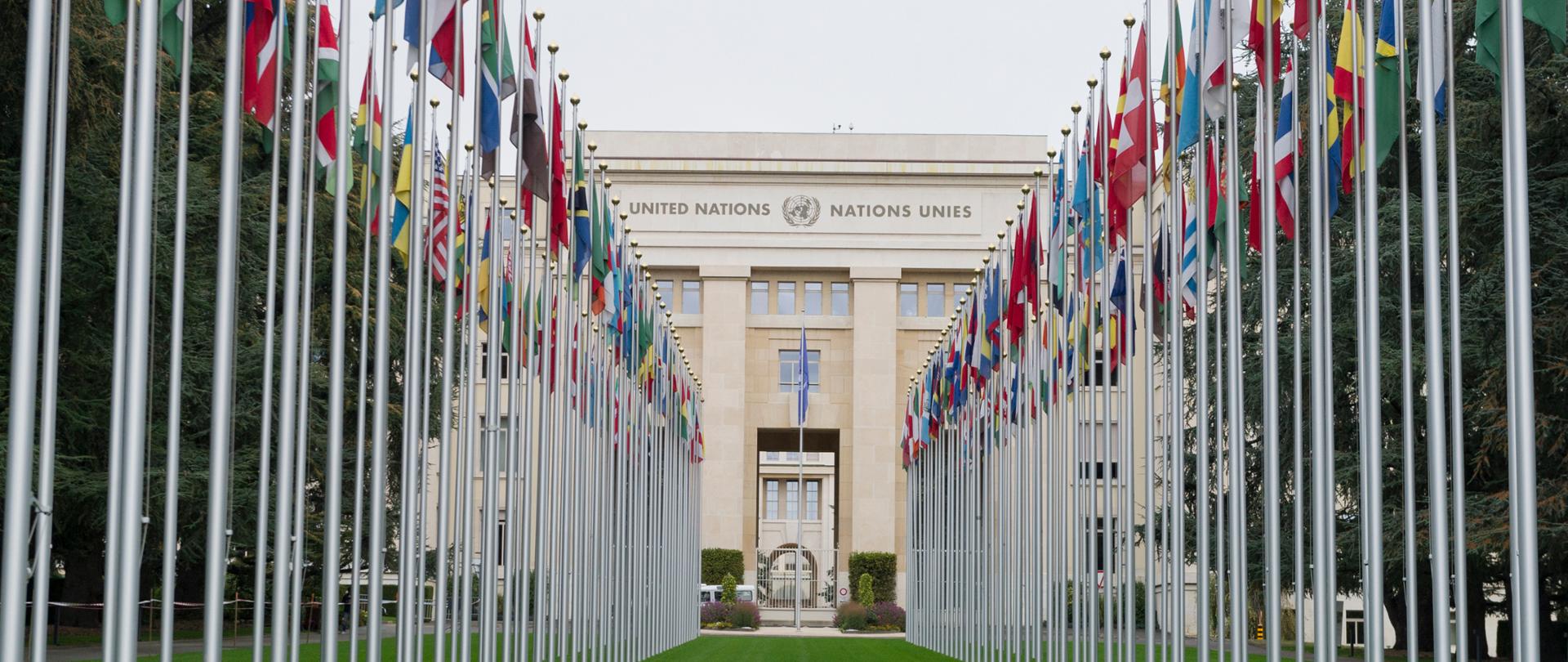 A general view of participants during « Geneva 20km race » at Ariana Park and around the Palais des Nations, Geneva. 7 October 2018. UN Photo by Violaine Martin