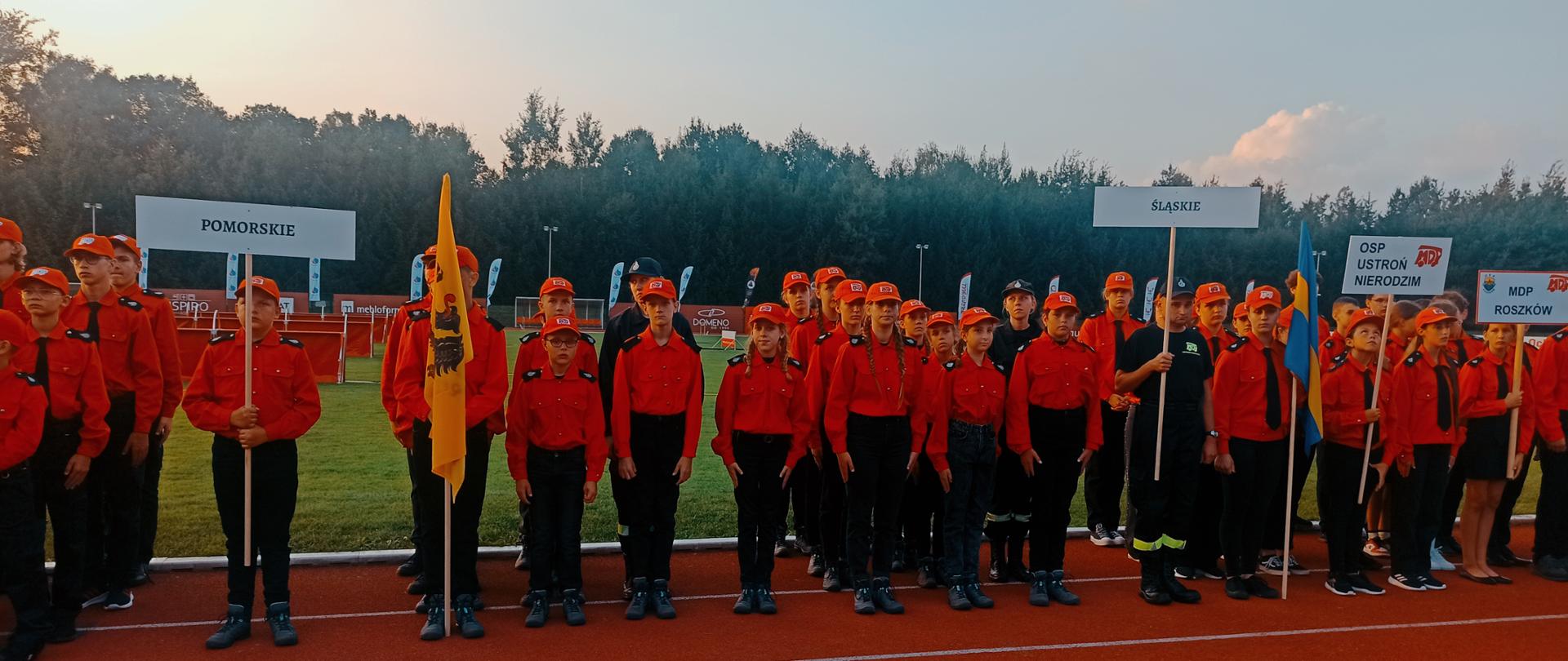 Widok z przodu. Członkowie MDP z proporcami. 