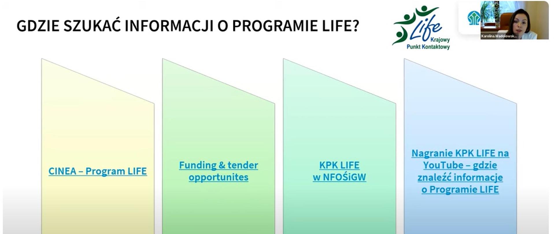 Grafika ilustracyjna