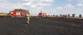 Działania gaśnicze strażaków na pogorzelisku po pożarze zboża na pniu