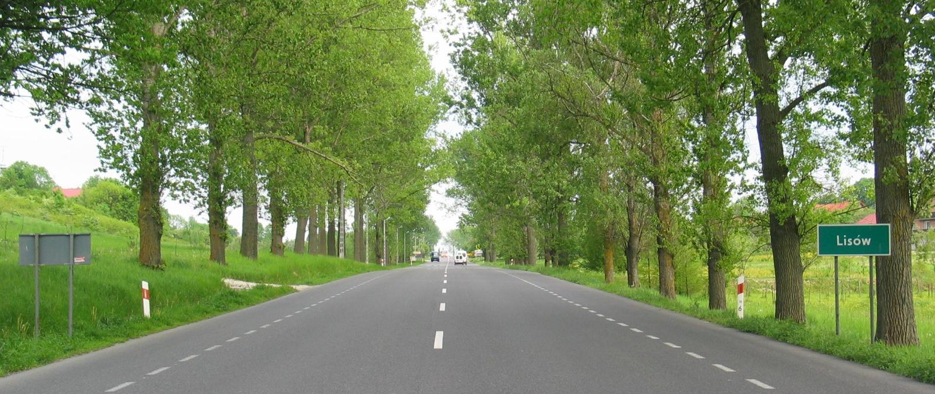 DK73 Lisów - centralnie na zdjęciu szara droga jednojezdniowa z poboczami i z oznakowaniem poziomym czyli białymi liniami przerywanymi. W oddali jadące samochody. Po obu stronach drogi zieleń, rzędy drzew, trawa. Po prawej stronie tablica z nazwą miejscowości Lisów.